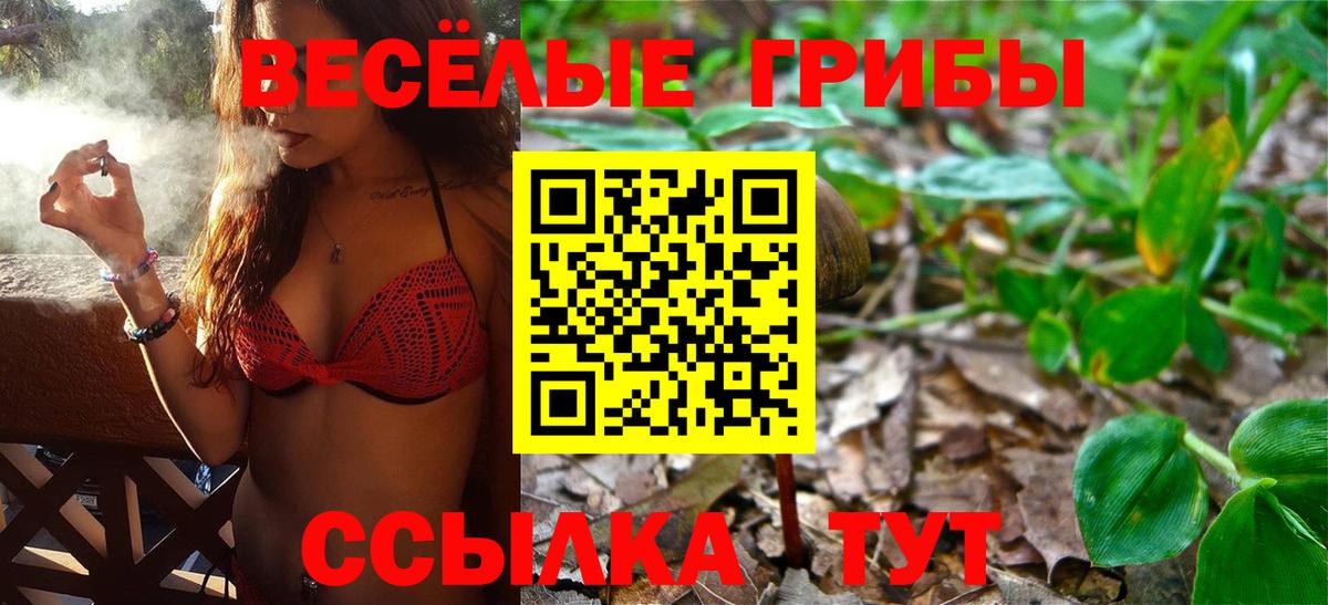 купить наркотик  Галлюциногенные грибы GOLDEN TEACHER  Вход с VPN  Усинск  Псилоцибиновые грибы Cubensis 